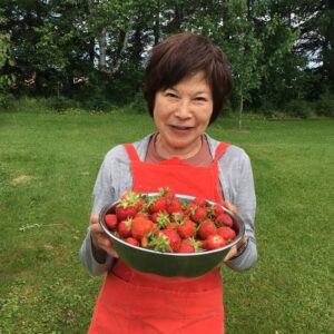 Fresh strawberries can be picked in PEI